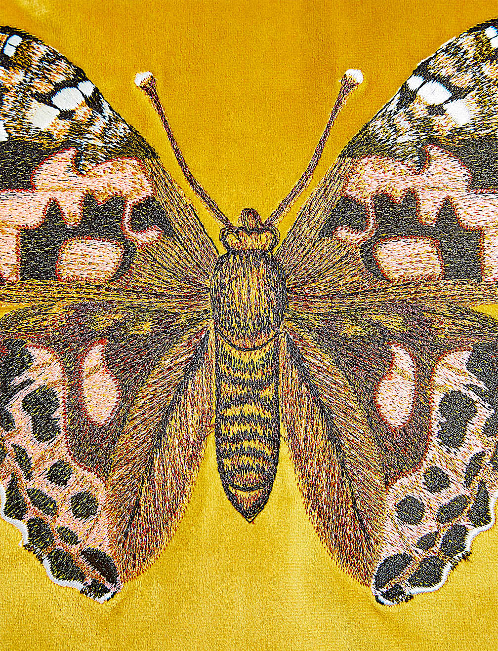 Velvet Butterfly Embroidered Cushion