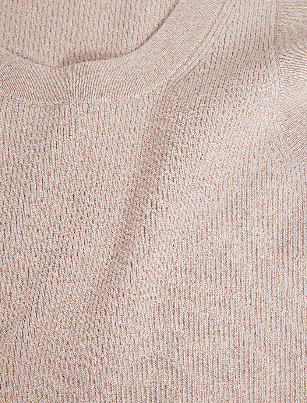 Sparkly Crew Neck Knitted Vest