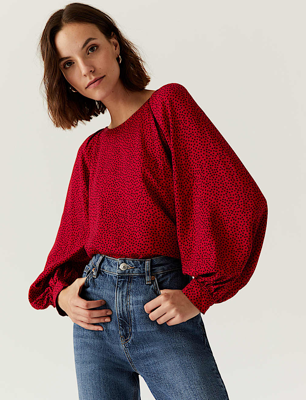 Printed Crew Neck Blouson Sleeve Blouse