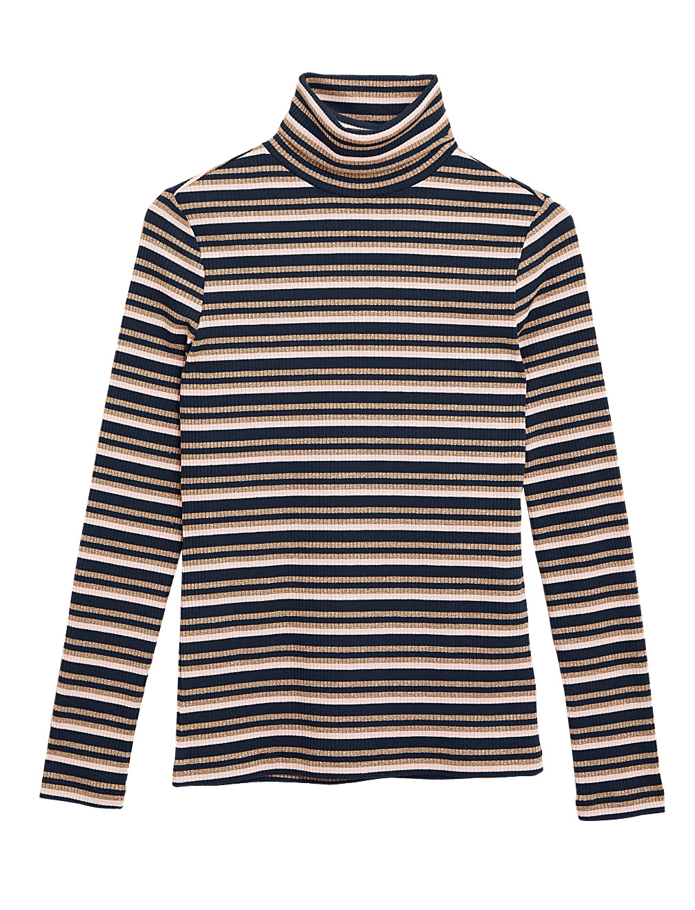 Sparkly Striped Funnel Neck Fitted Top
