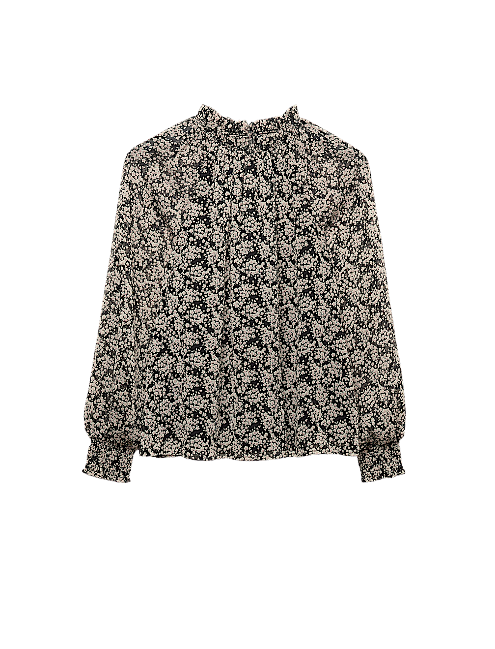 Sheer Floral Printed Long Blouson Sleeve Blouse