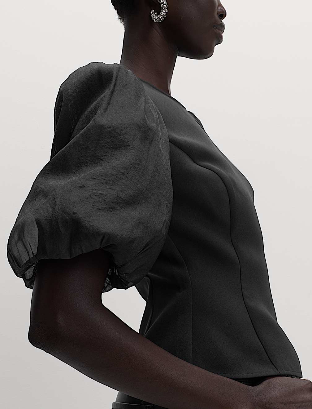 Organza Waisted Puff Sleeve Top