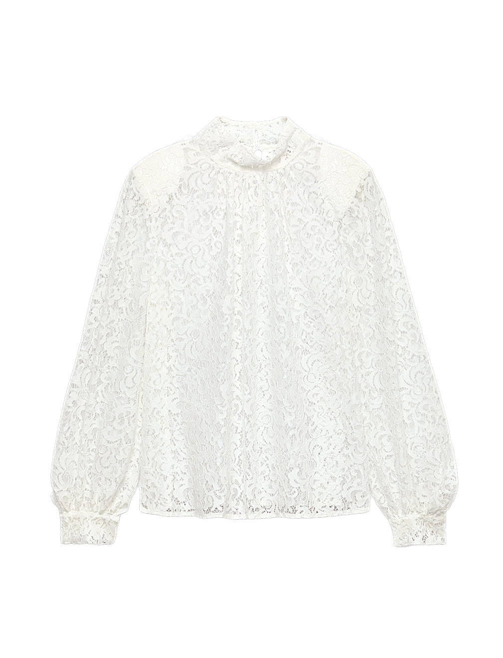 Lace High Neck Blouse with Cotton