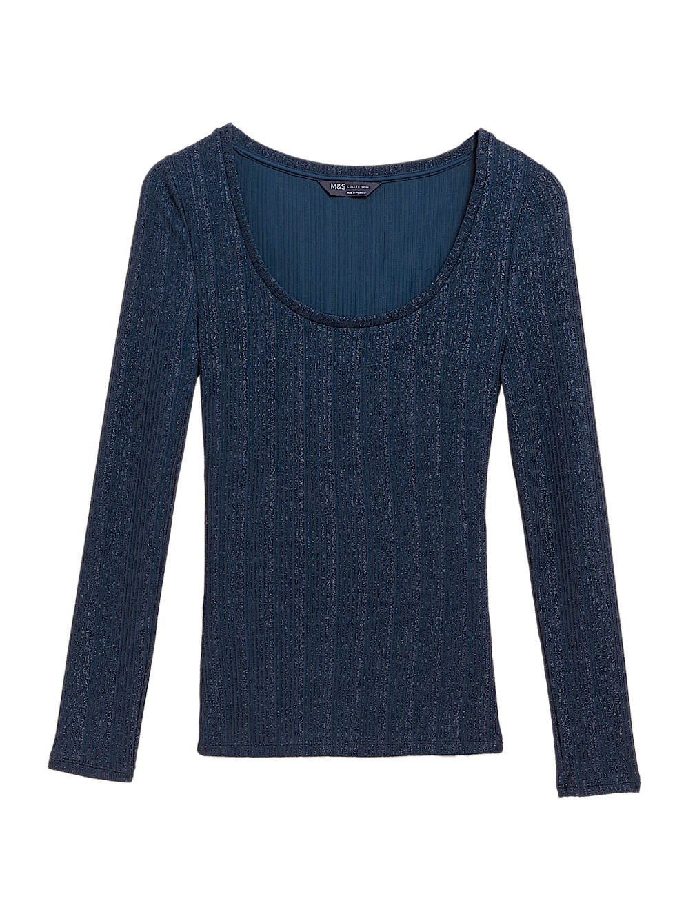 Sparkly Ribbed Scoop Neck Fitted Top