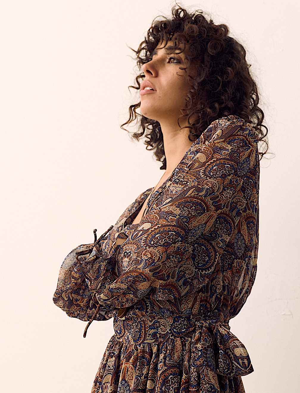 Paisley Floral V Neck Mini Waisted Dress