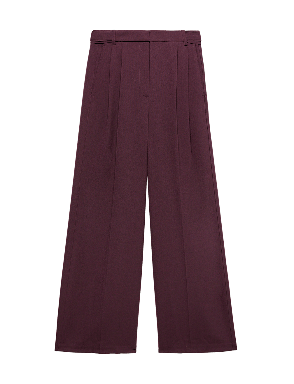 Double Pleated Side Tab Wide Leg Trousers