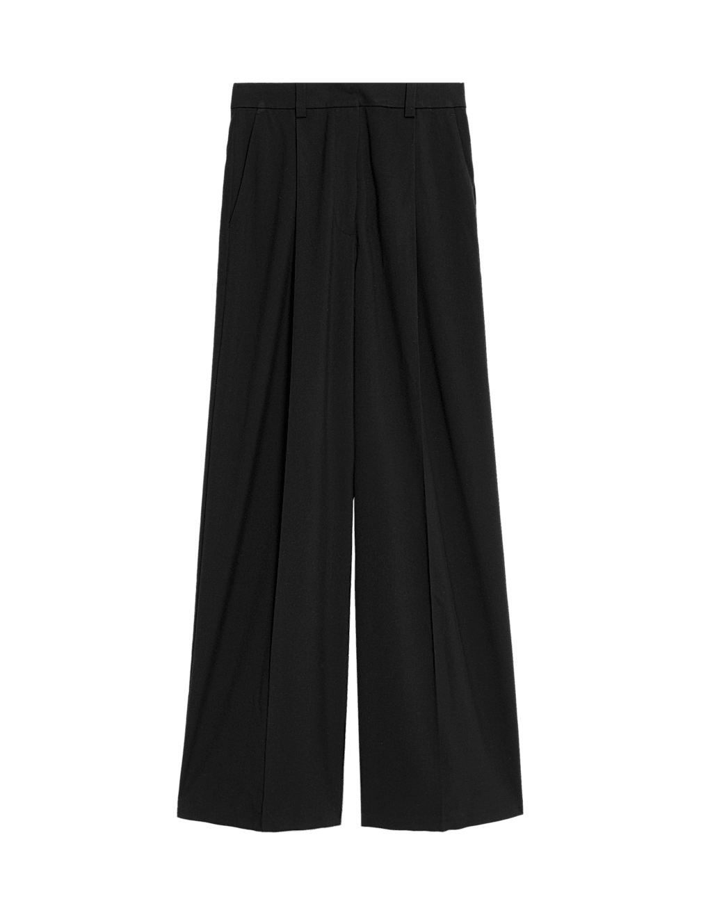 Pleated Wide Leg Trousers