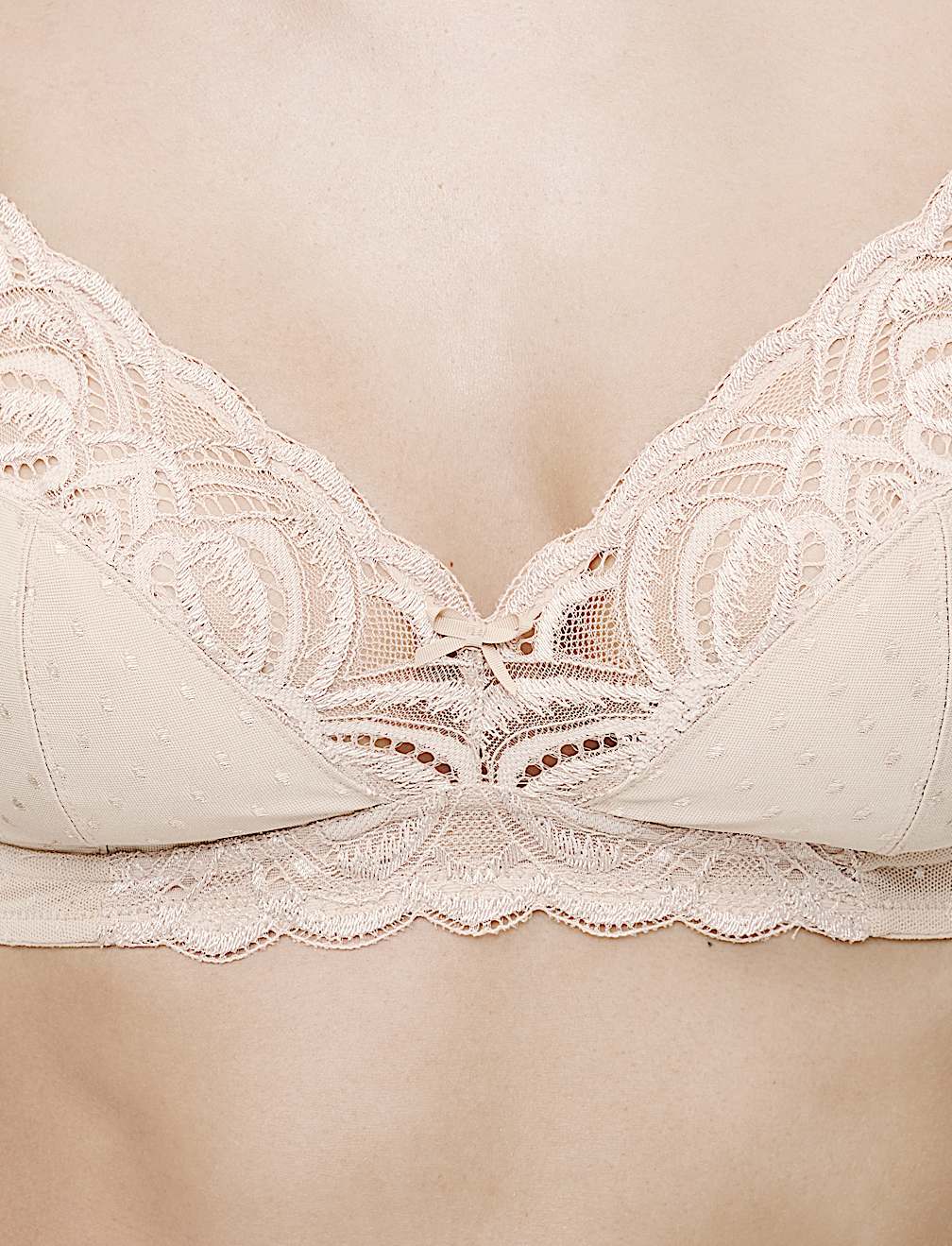 Amelia Lace Non Wired Full Cup Bra (A-E)