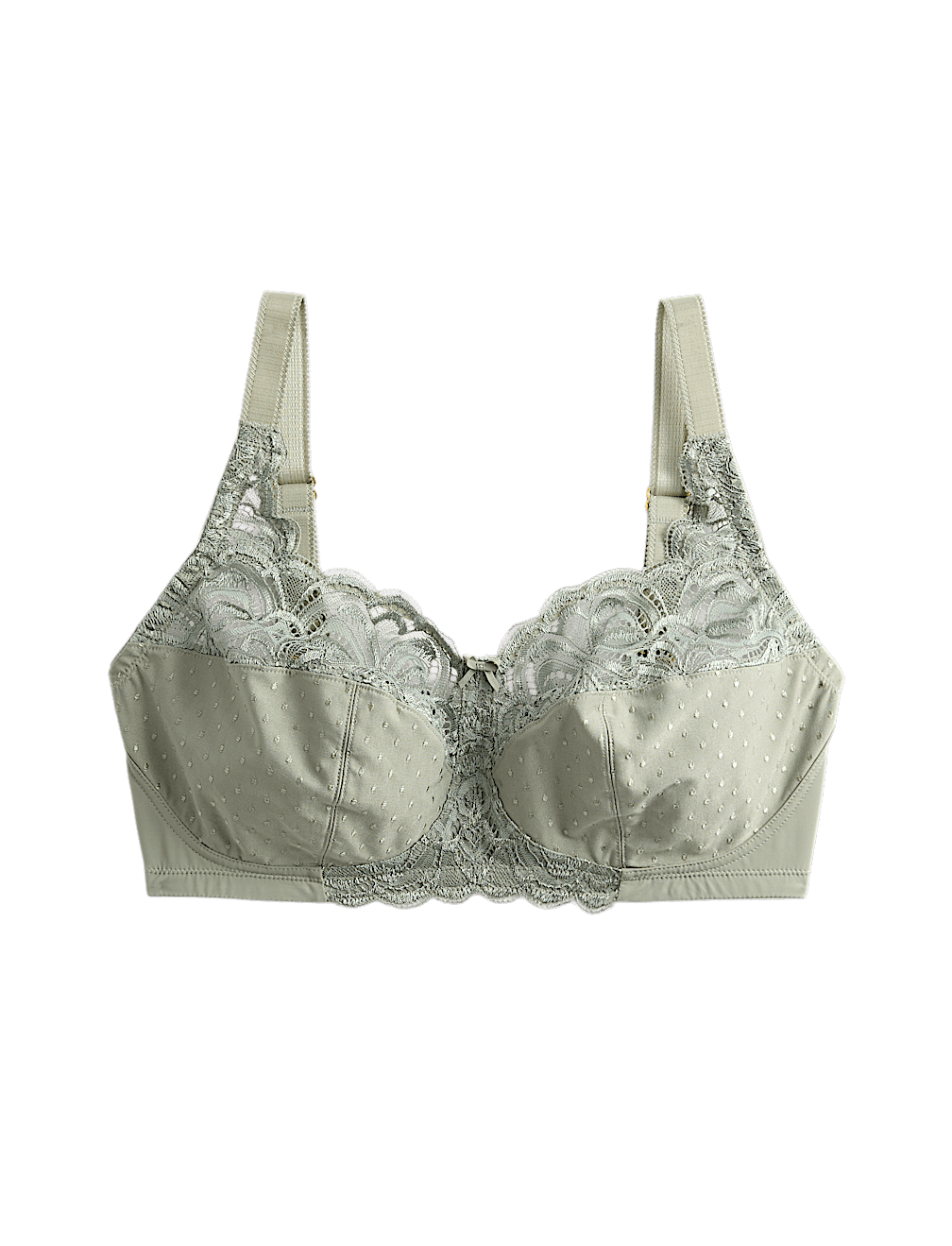 Amelia Lace Non Wired Total Support Bra B-H
