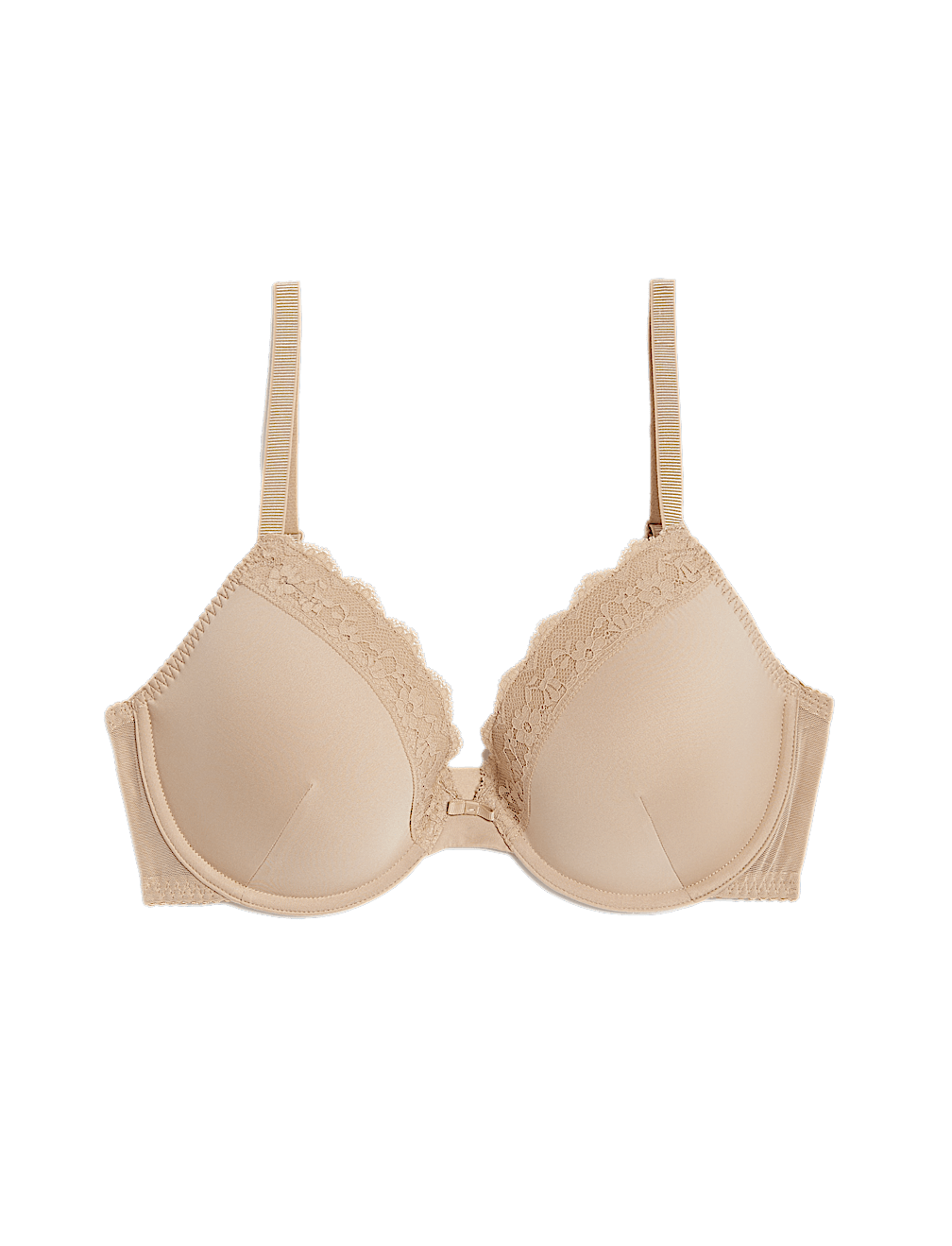 Lace Padded Plunge Wired Bra