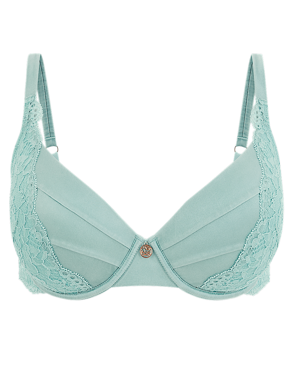 Lace Wired Full Cup Bra With Silk A-E