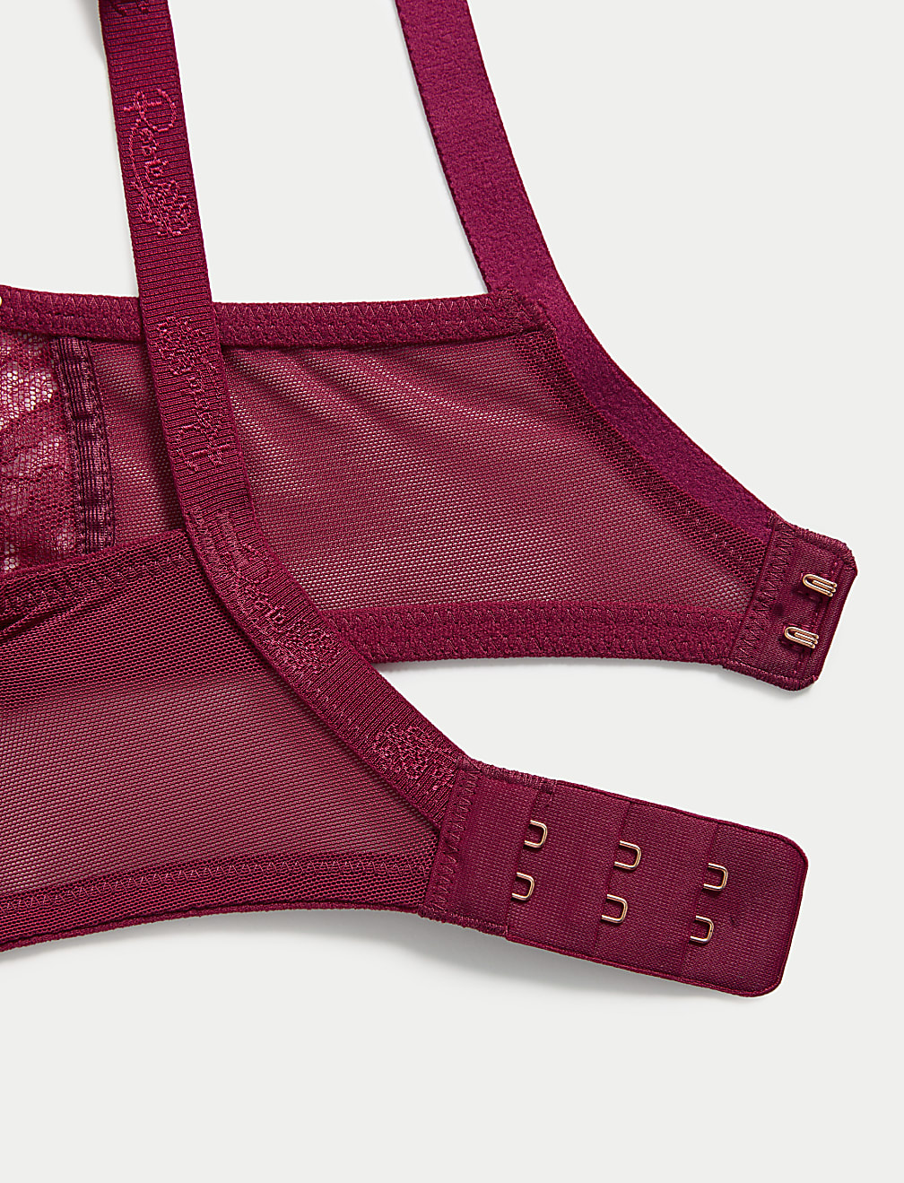 Lace Wired Full Cup Bra With Silk A-E