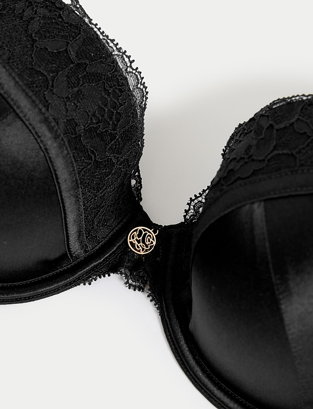 Silk & Lace Wired Plunge Bra A-E