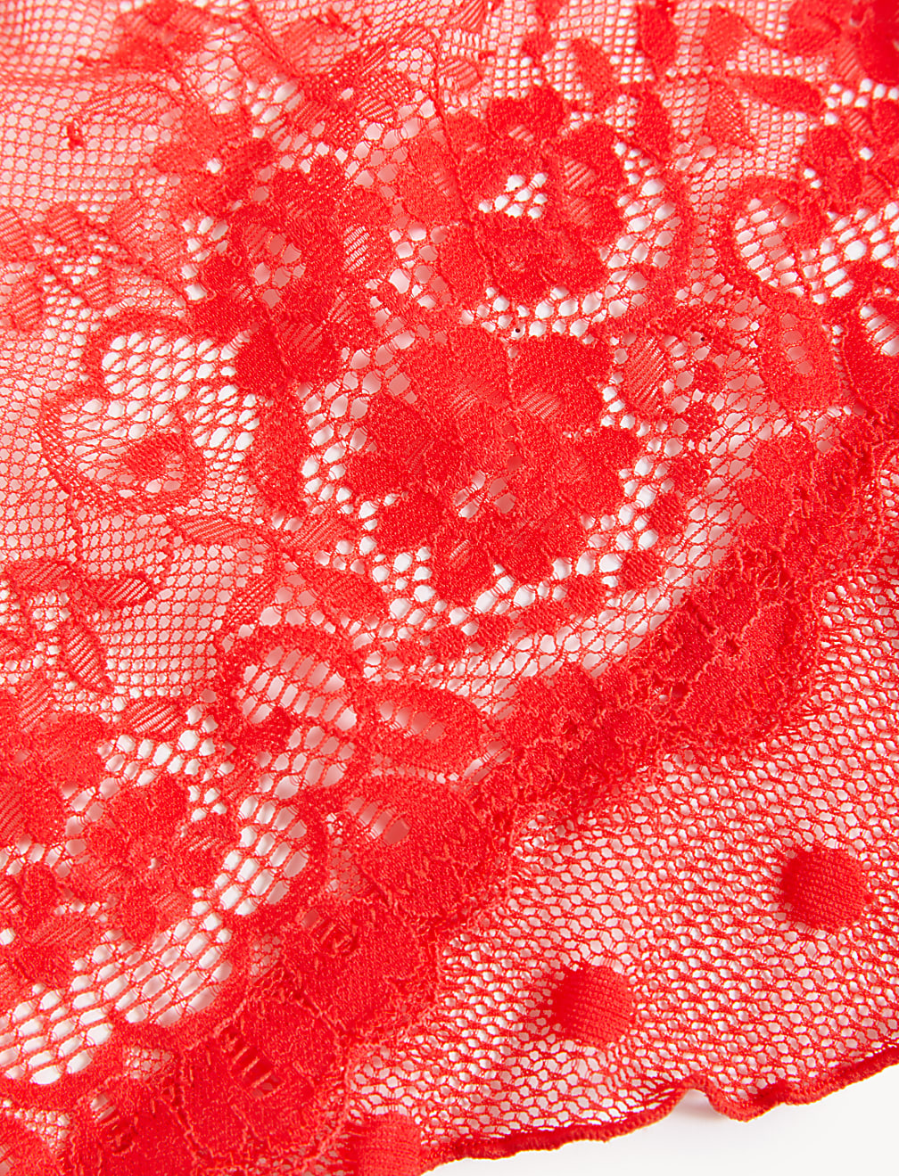 Linea Lace Body
