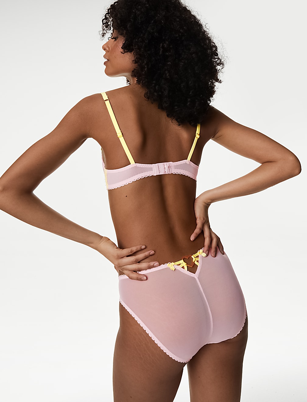 Abella Embroidery High Leg Knickers