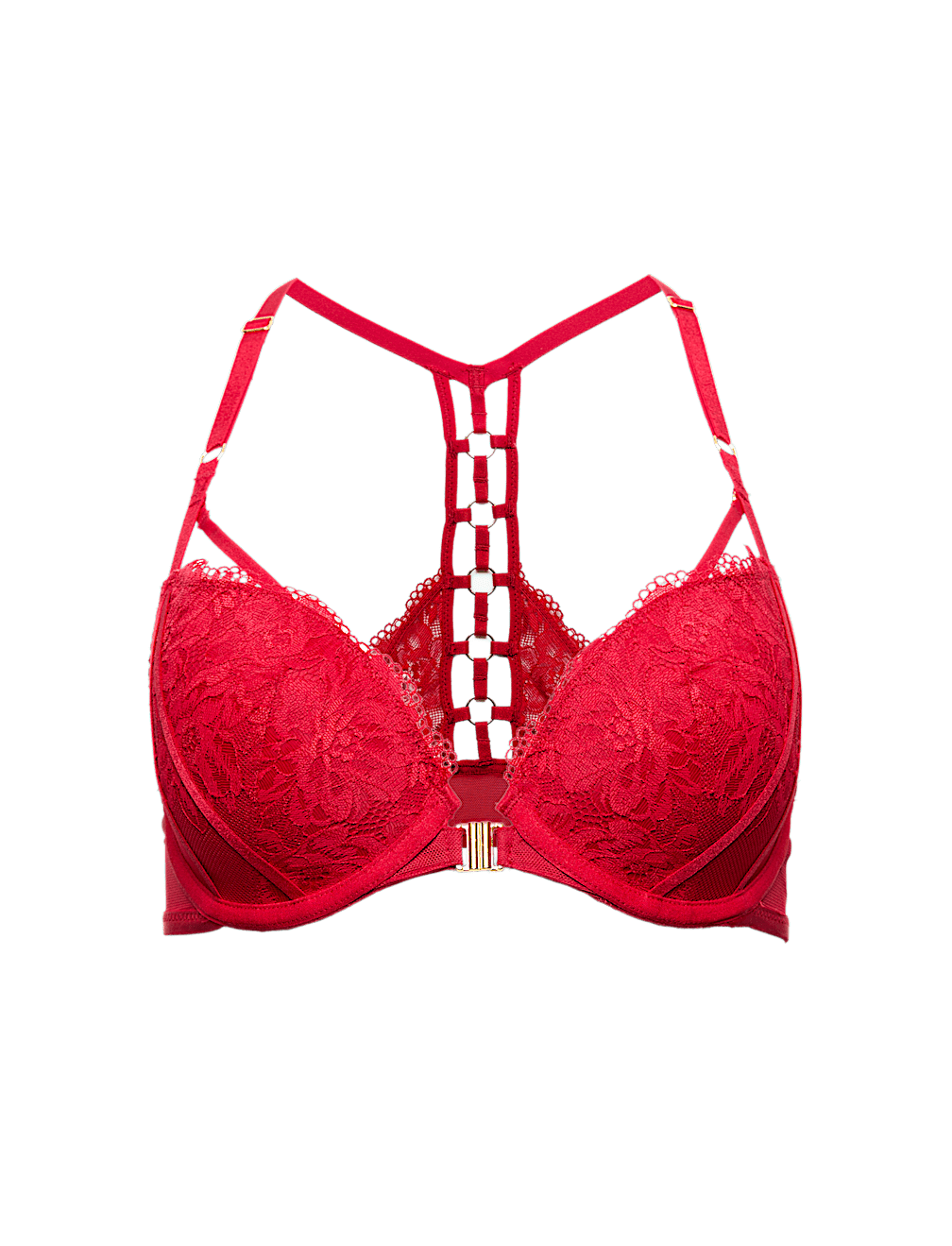 Vera Lace Wired Push Up Plunge Bra (A-E)