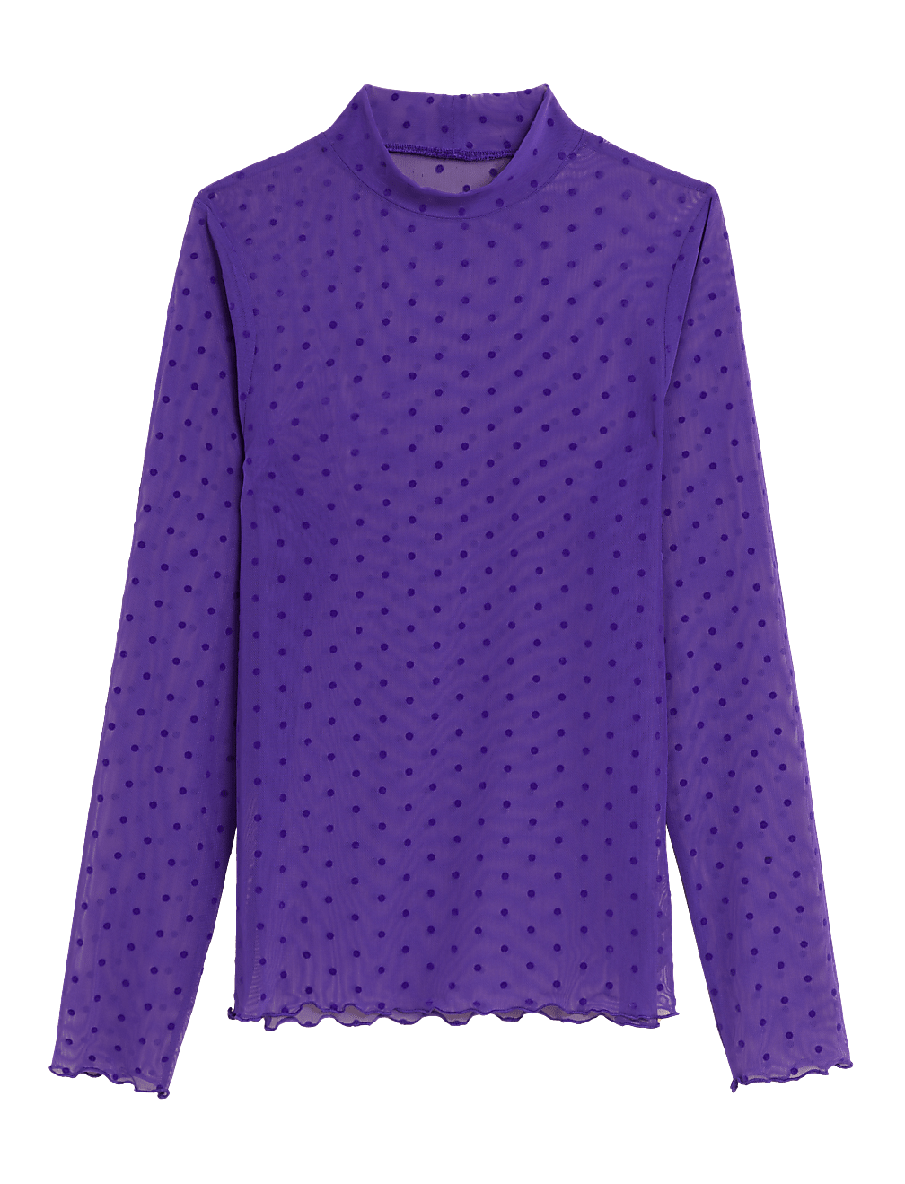 Spot Mesh Long Sleeve Top