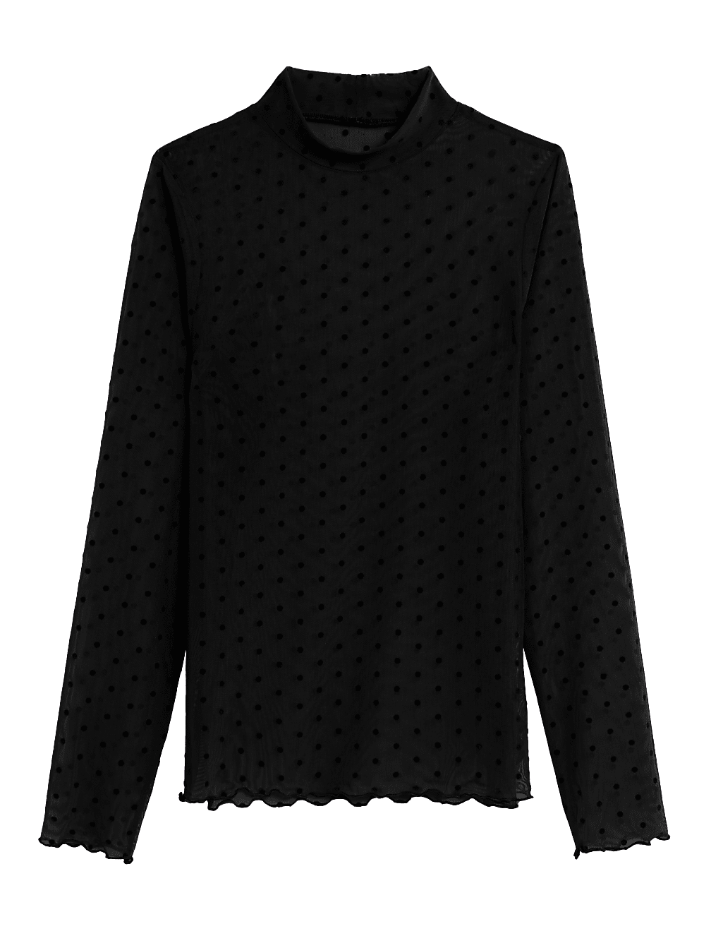 Spot Mesh Long Sleeve Top