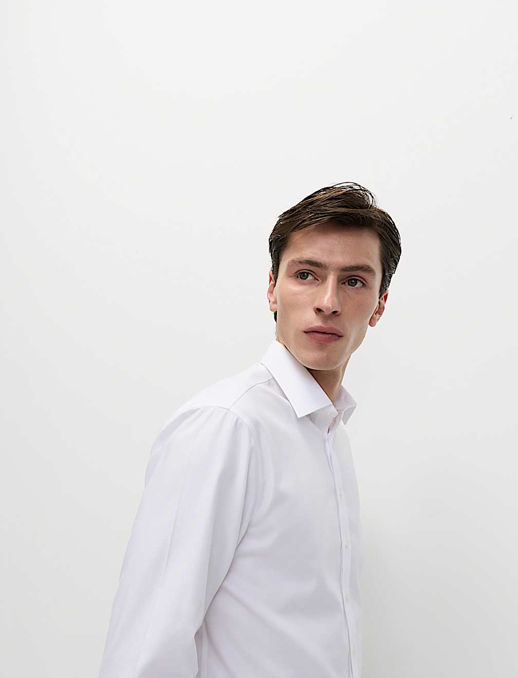 Regular Fit 2 Inch Shorter Ultimate Non Iron Twill Shirt