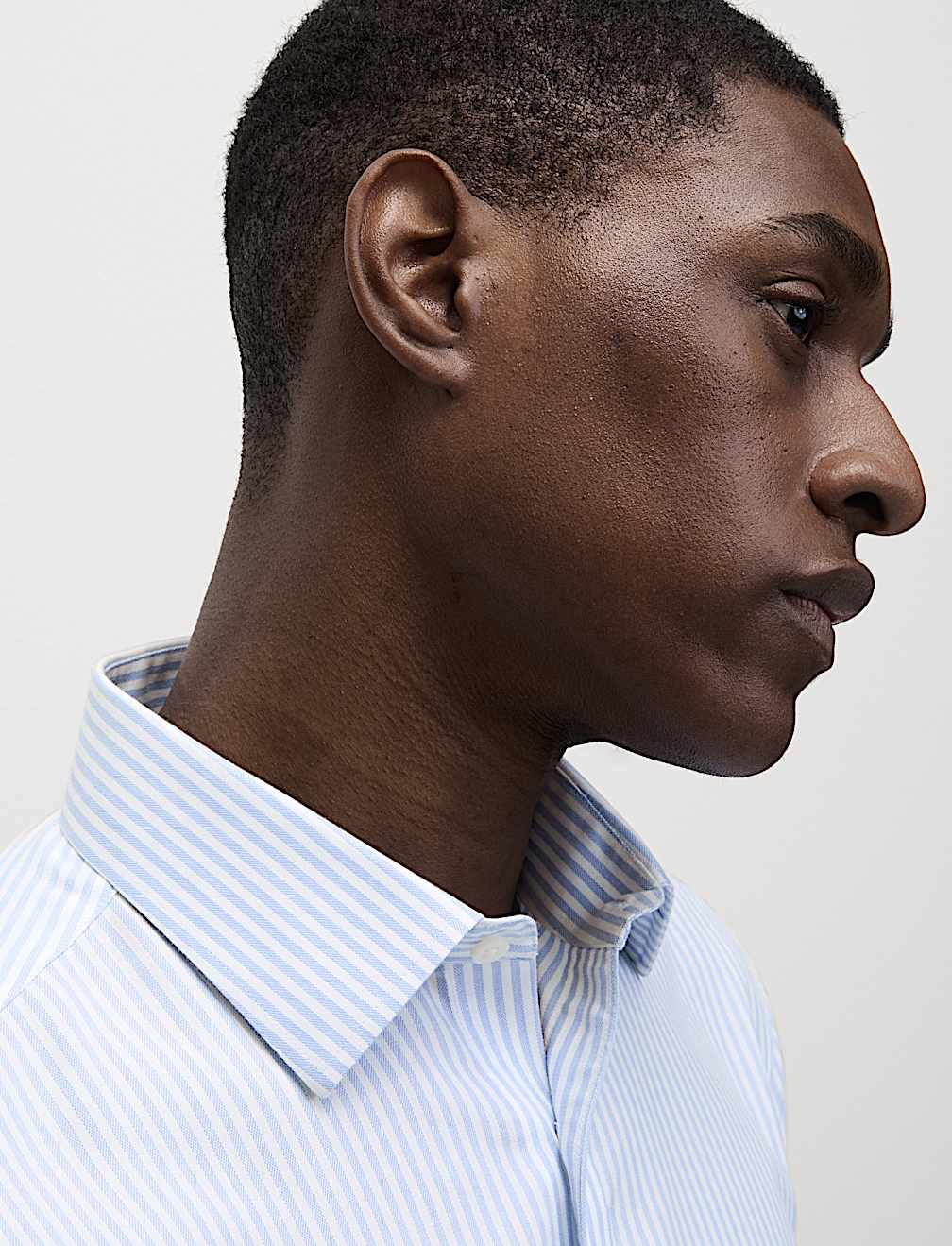 Regular Fit Ultimate Non Iron Cotton Striped Shirt