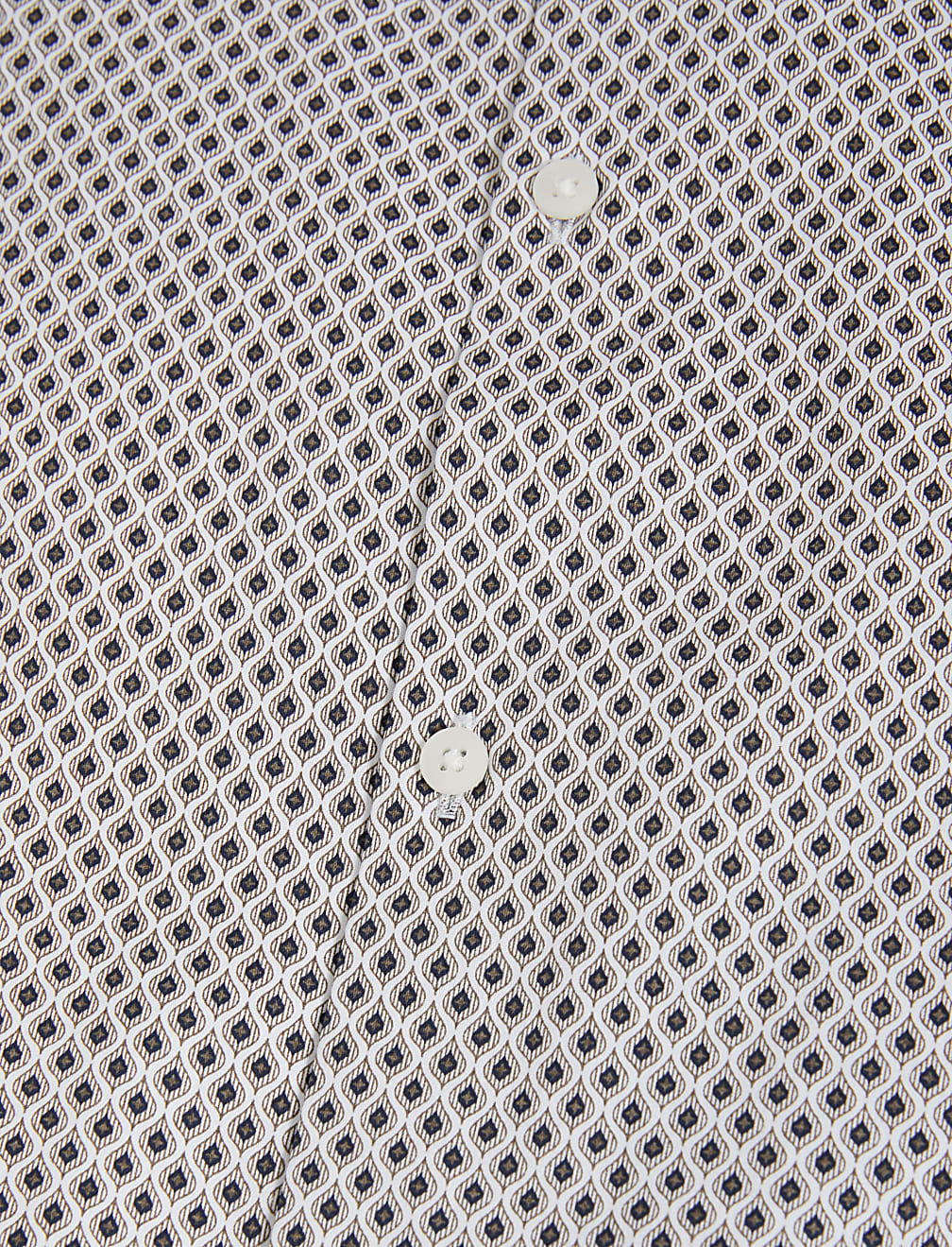 Regular Fit Easy Iron Pure Cotton Print Shirt