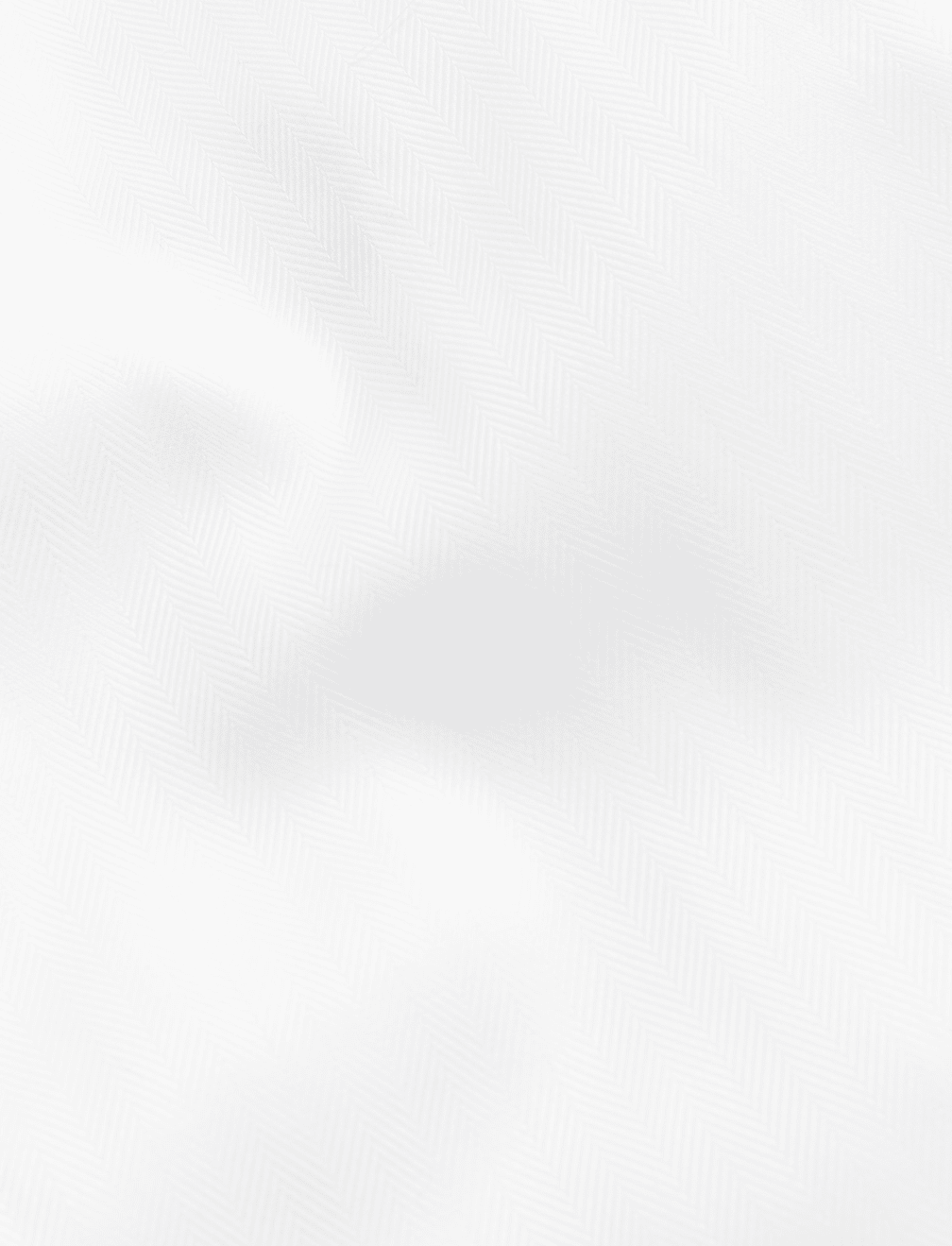 Regular Fit Pure Cotton Herringbone Shirt