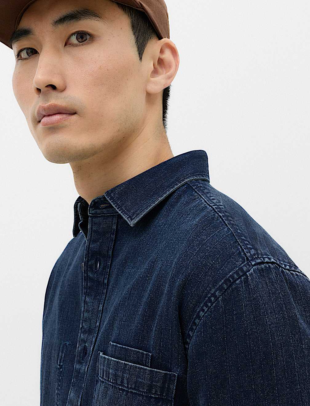 Regular Fit Pure Cotton Denim Stripe Shirt