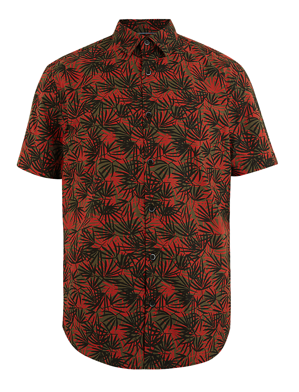 Pure Cotton Palm Print Shirt