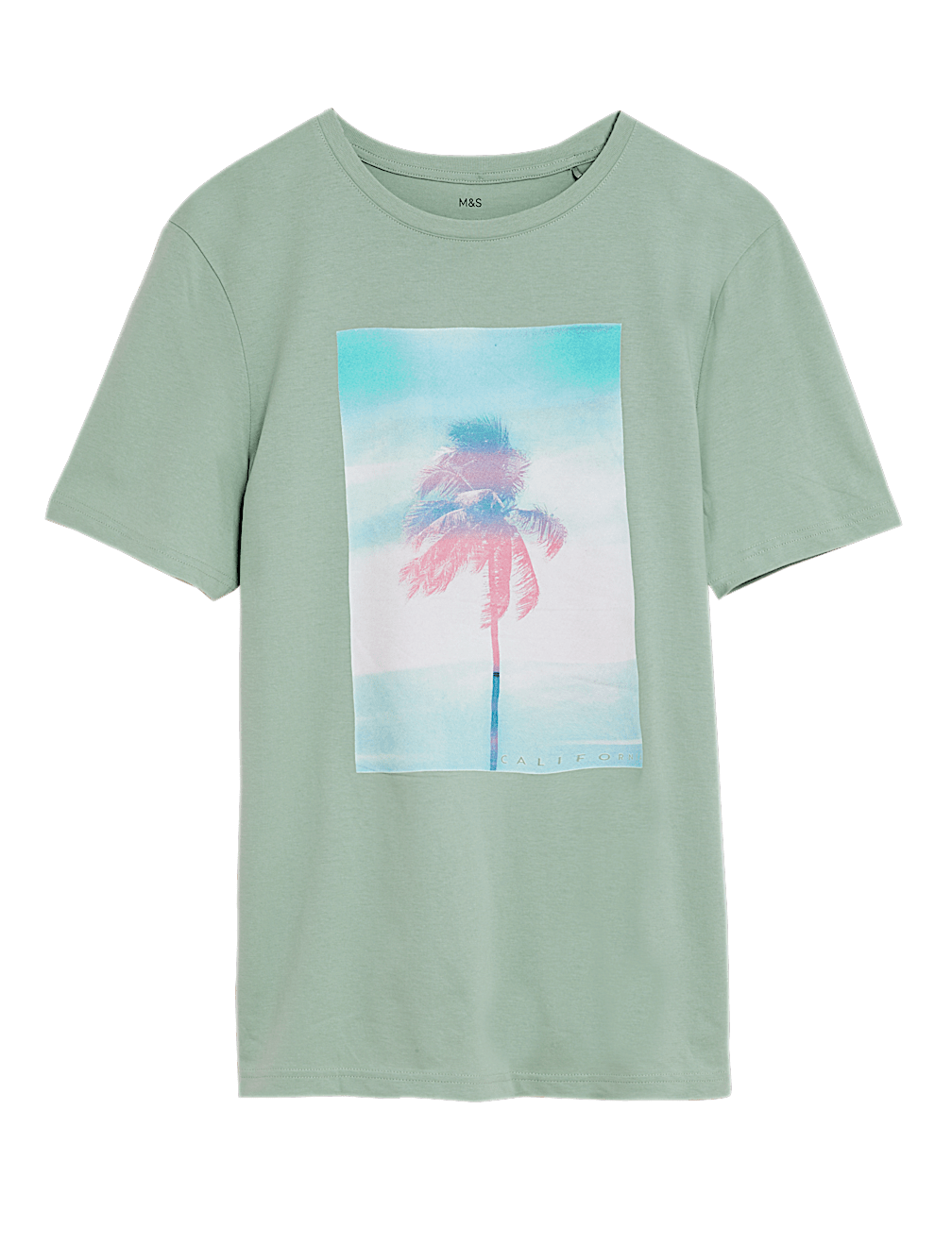 Pure Cotton Palm Photoreel Graphic T-Shirt