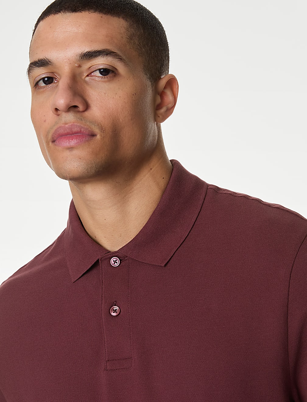 Pure Cotton Pique Regular Fit Polo Shirt