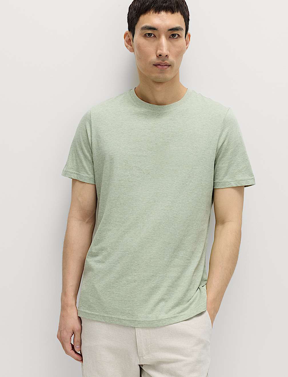 Regular Fit Pure Cotton Crew Neck T-Shirt
