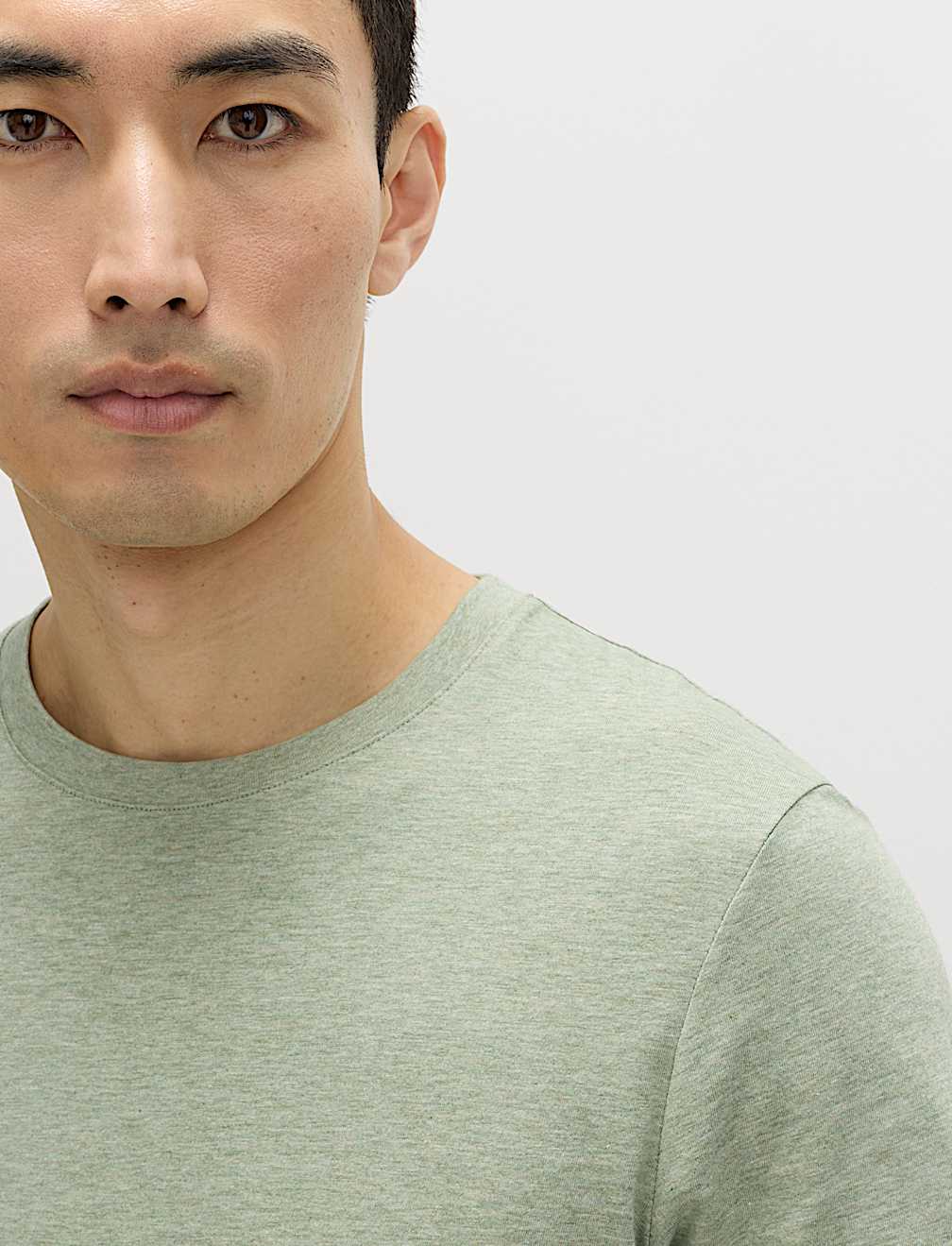 Regular Fit Pure Cotton Crew Neck T-Shirt
