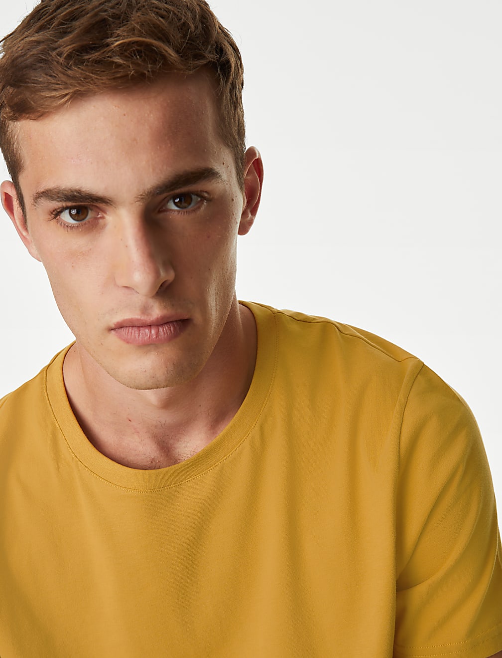 Regular Fit Pure Cotton Crew Neck T-Shirt