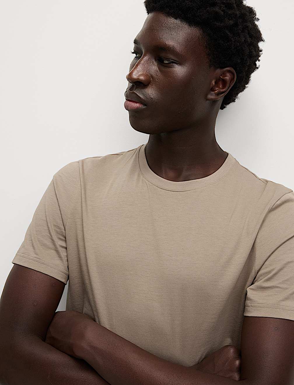 Regular Fit Pure Cotton Crew Neck T-Shirt