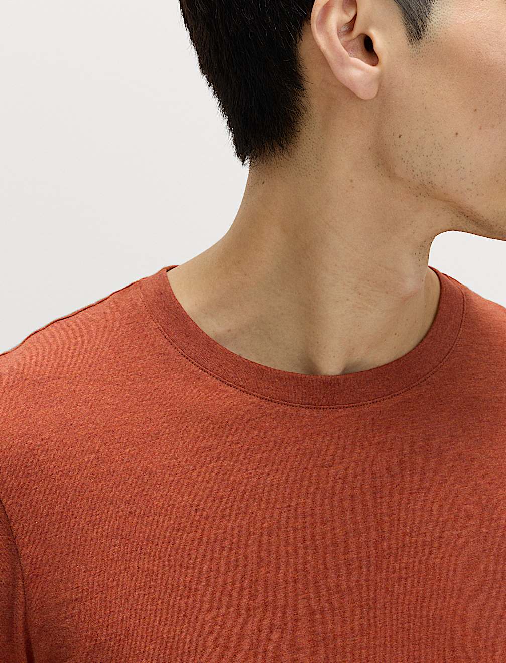 Regular Fit Pure Cotton Crew Neck T-Shirt