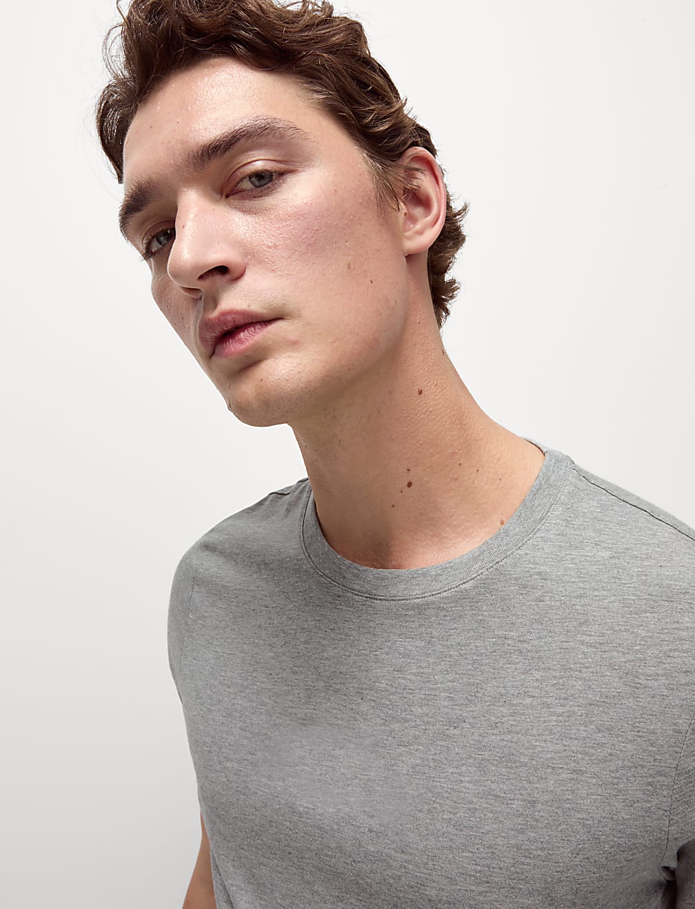 Regular Fit Pure Cotton Crew Neck T-Shirt