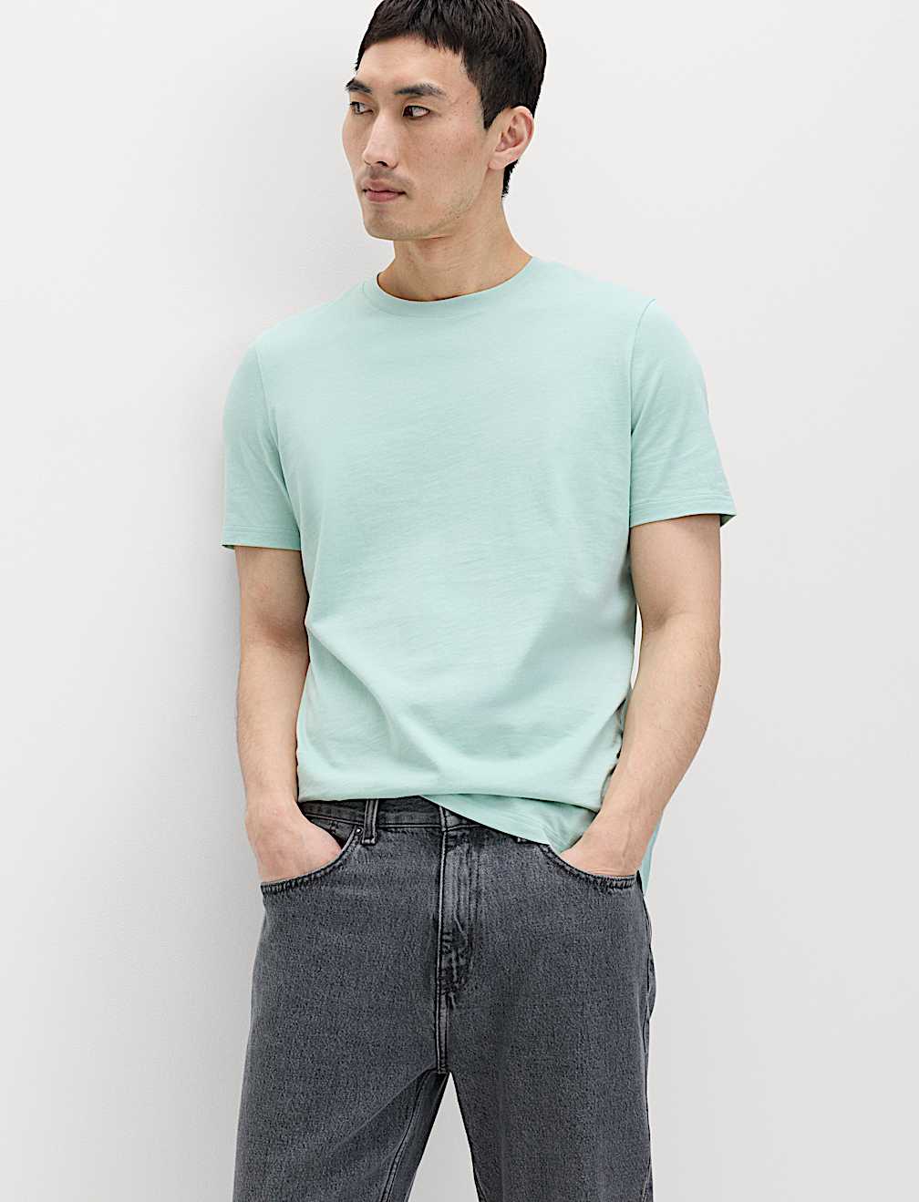 Regular Fit Pure Cotton Crew Neck T-Shirt