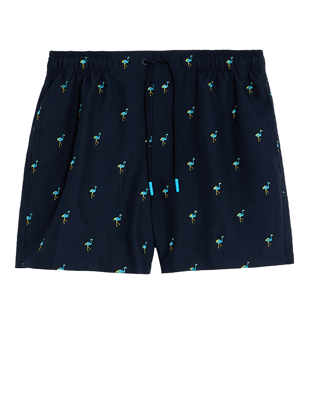Quick Dry Embroidered Swim Shorts