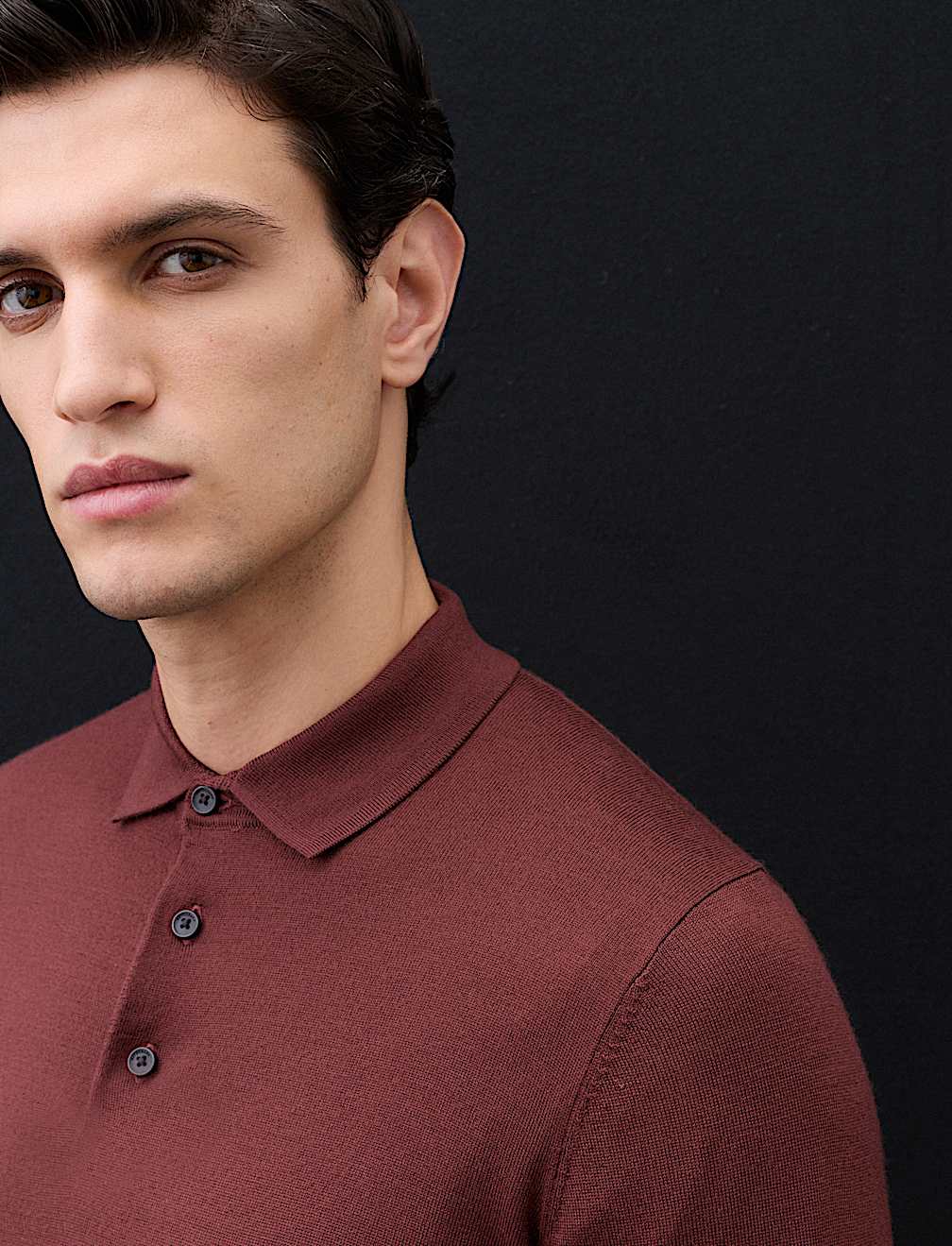Pure Extra Fine Merino Wool Polo Shirt