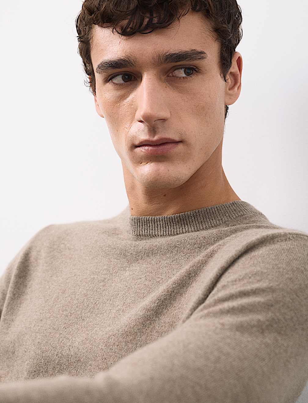 Pure Cashmere Crew Neck Jumper