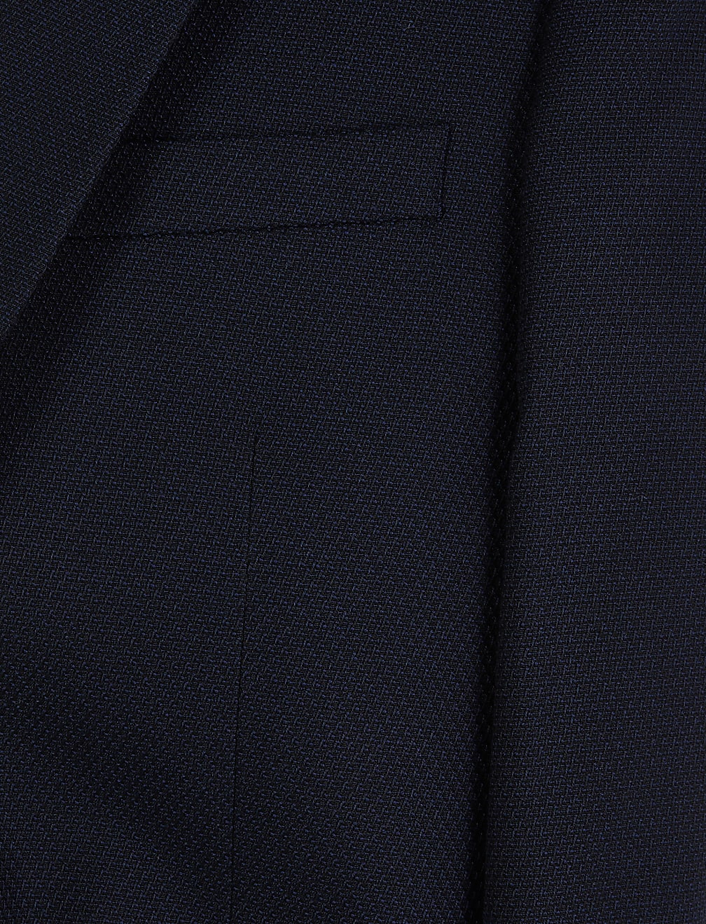 Navy Regular Fit Textured Jacket