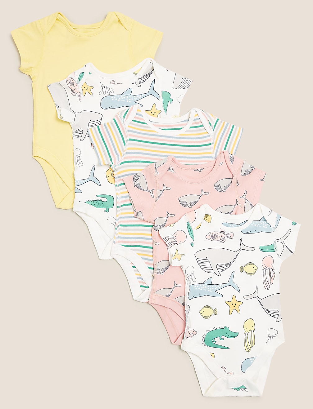 5pk Pure Cotton Sea Creatures Bodysuits