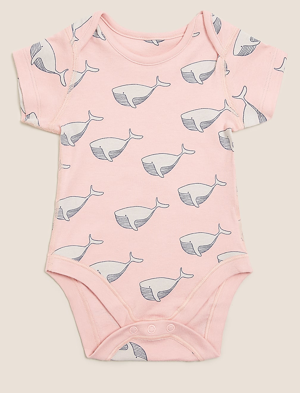 5pk Pure Cotton Sea Creatures Bodysuits