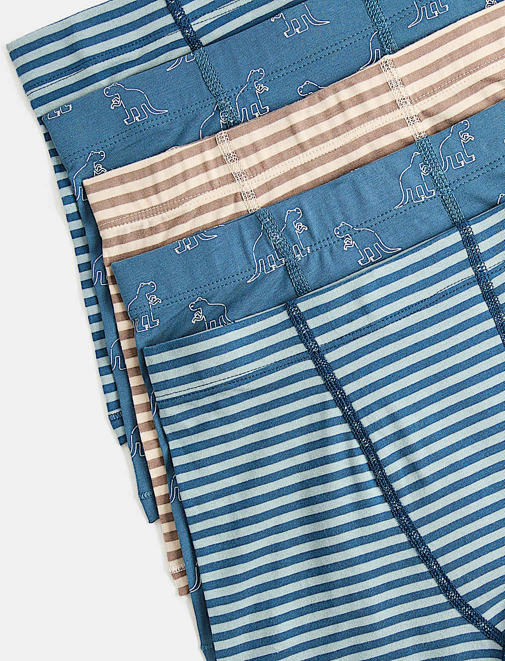 5 Pack Cotton Rich Dino Print Trunks (3-10 Yrs)