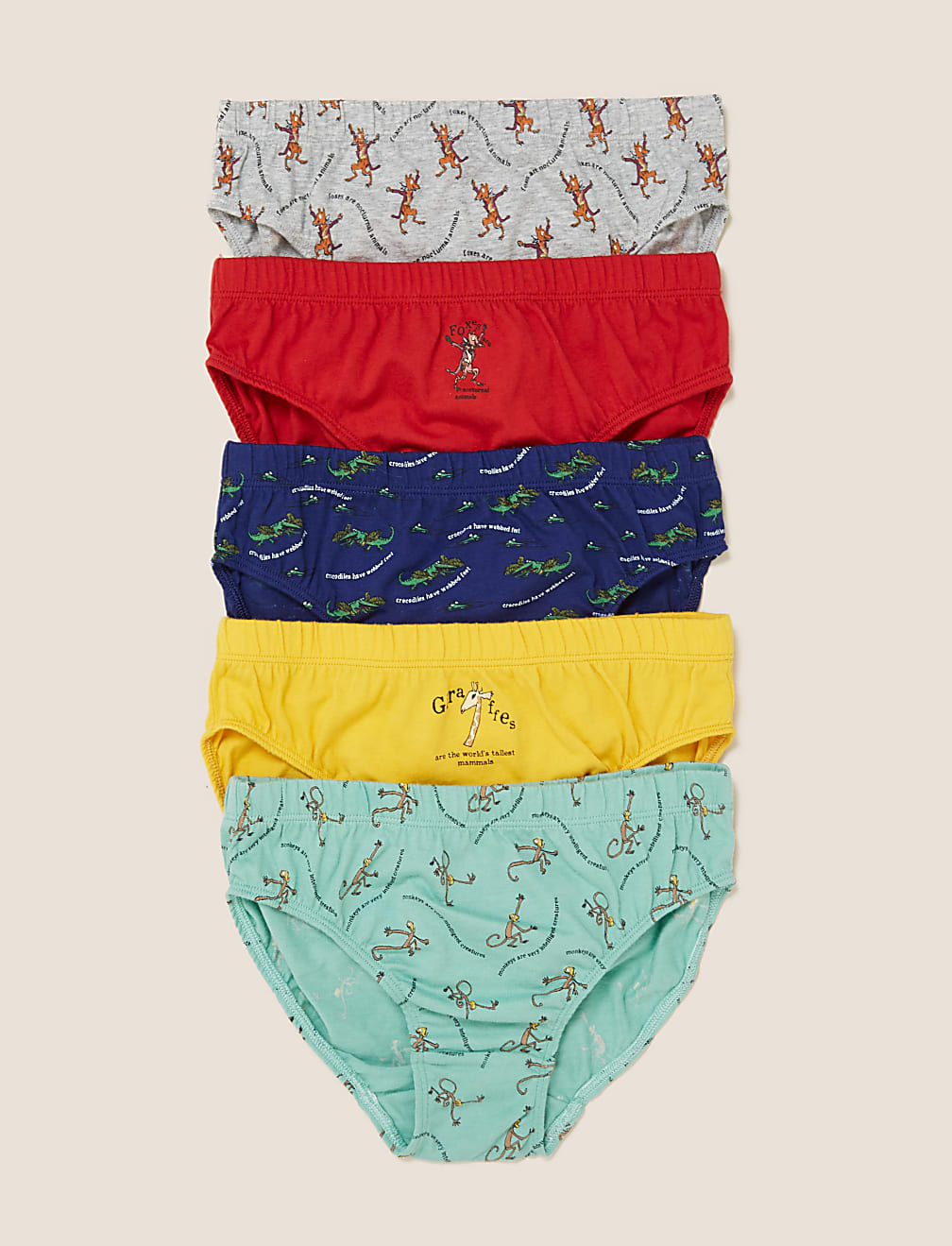 5pk Pure Cotton Roald Dahl™ & NHM™ Briefs