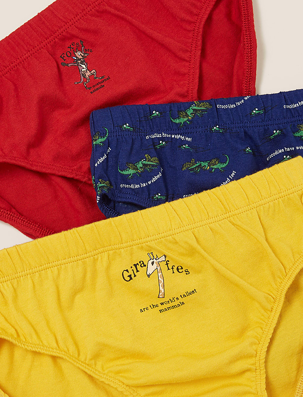 5pk Pure Cotton Roald Dahl™ & NHM™ Briefs