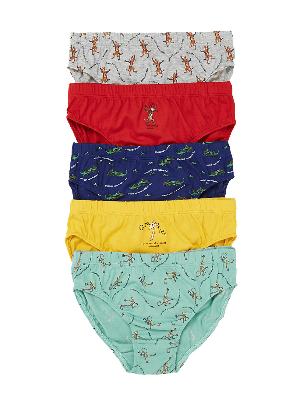 5pk Pure Cotton Roald Dahl™ & NHM™ Briefs
