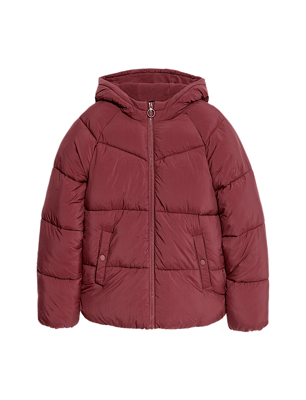 Padded Hooded Jacket (6 - 16 yrs)