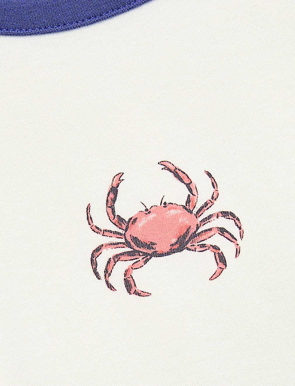 Cotton Rich Crab Graphic T-Shirt (6-16 Yrs)