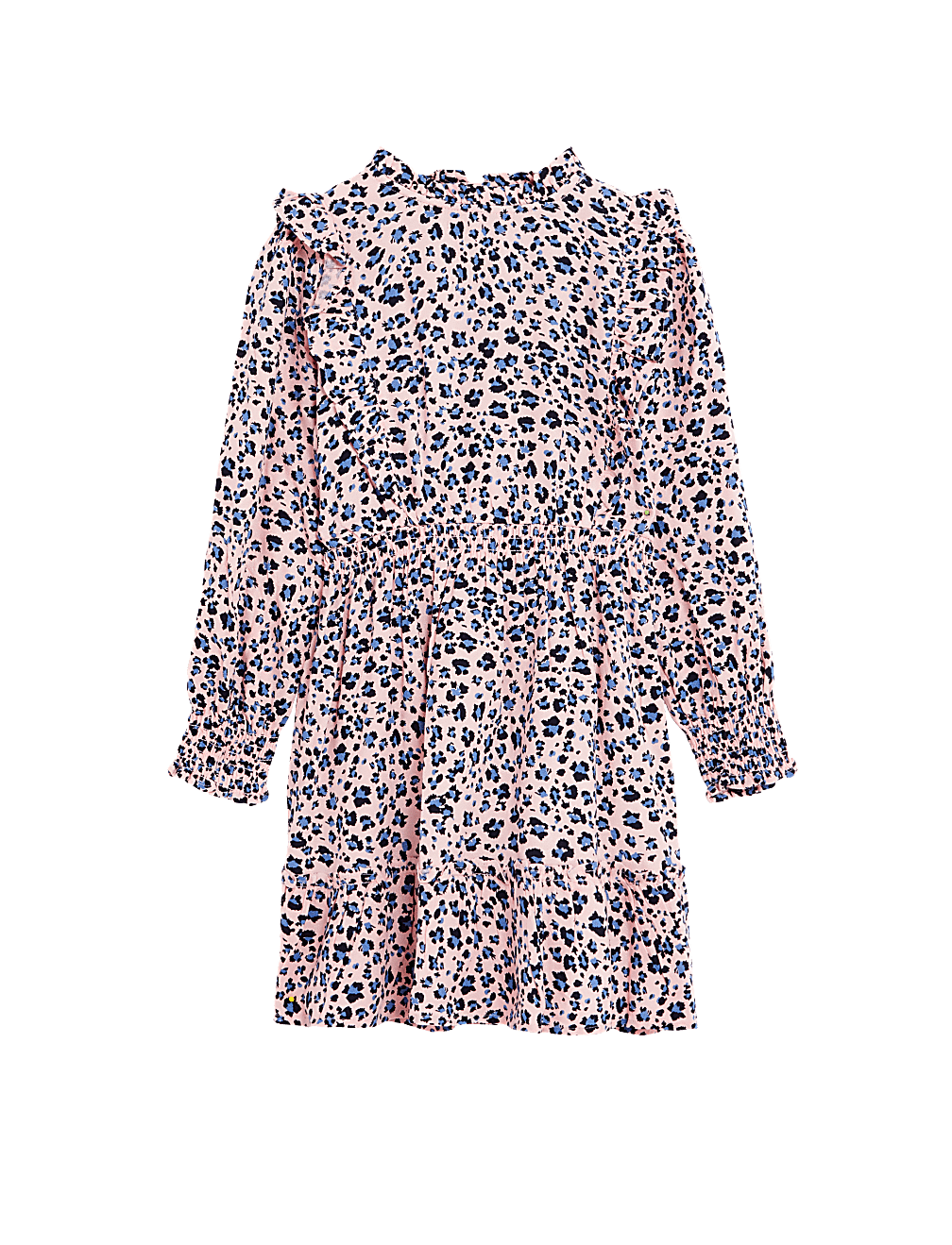 Leopard Print Dress